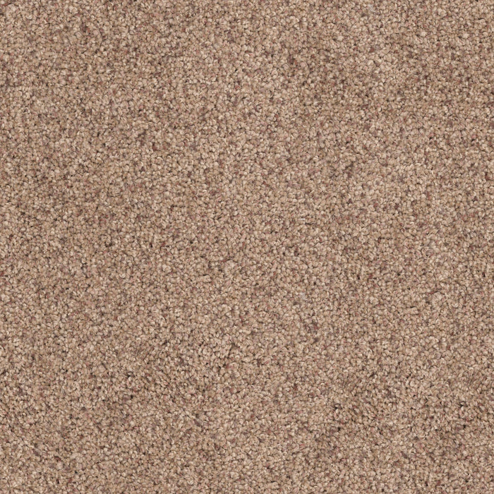 Husky - Bark