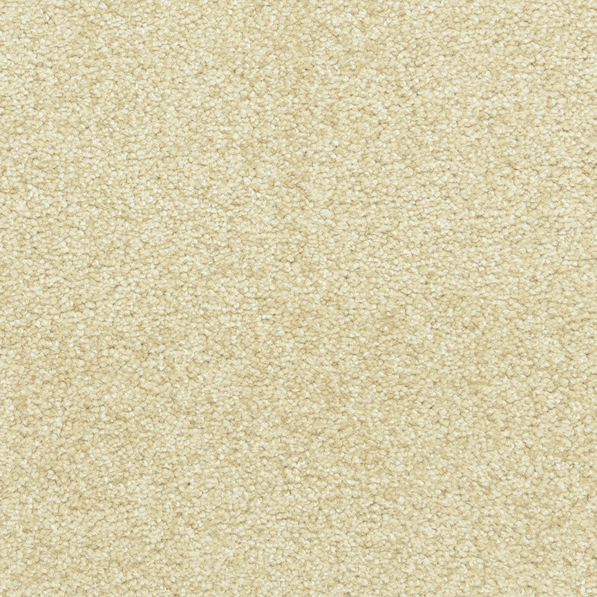 Leigh Way - Suede