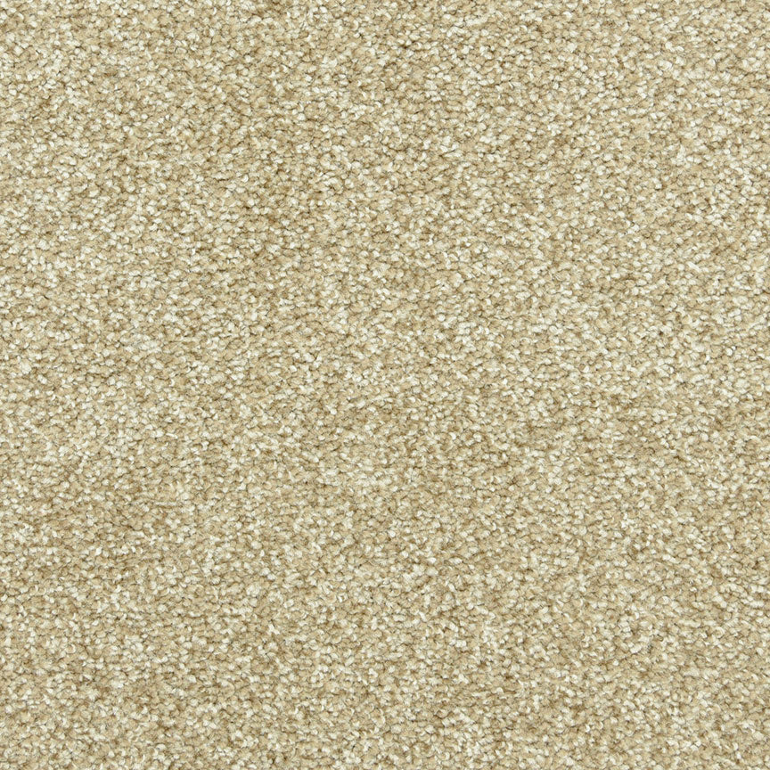 Leigh Way - Calico