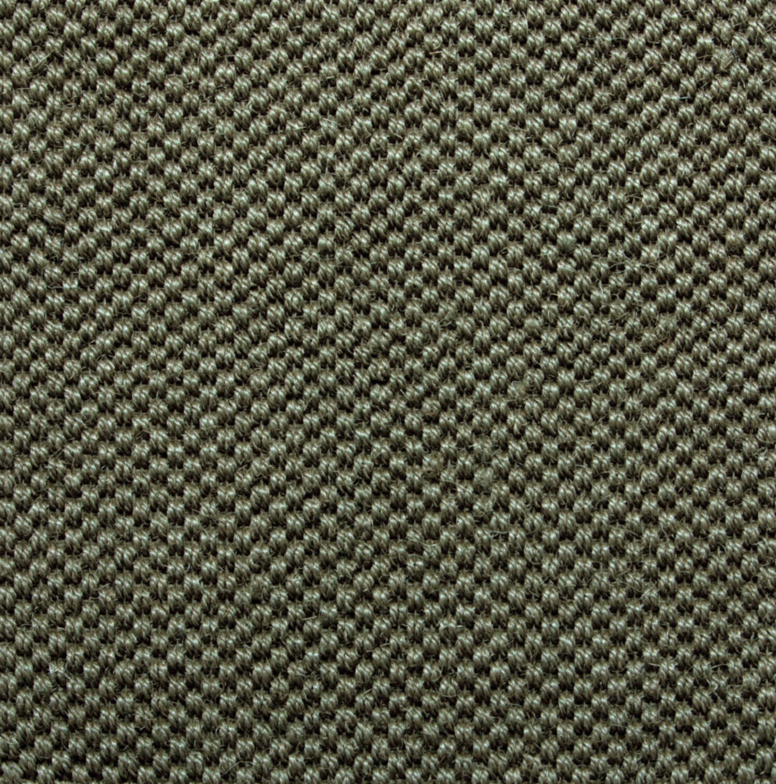Luna / Cappuccino, Olive, Tan