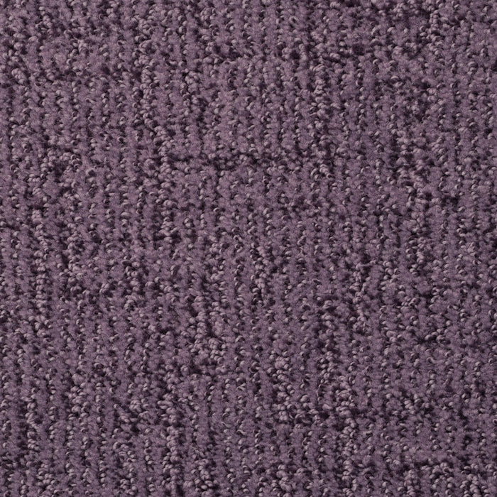 Cape Cod - Plum