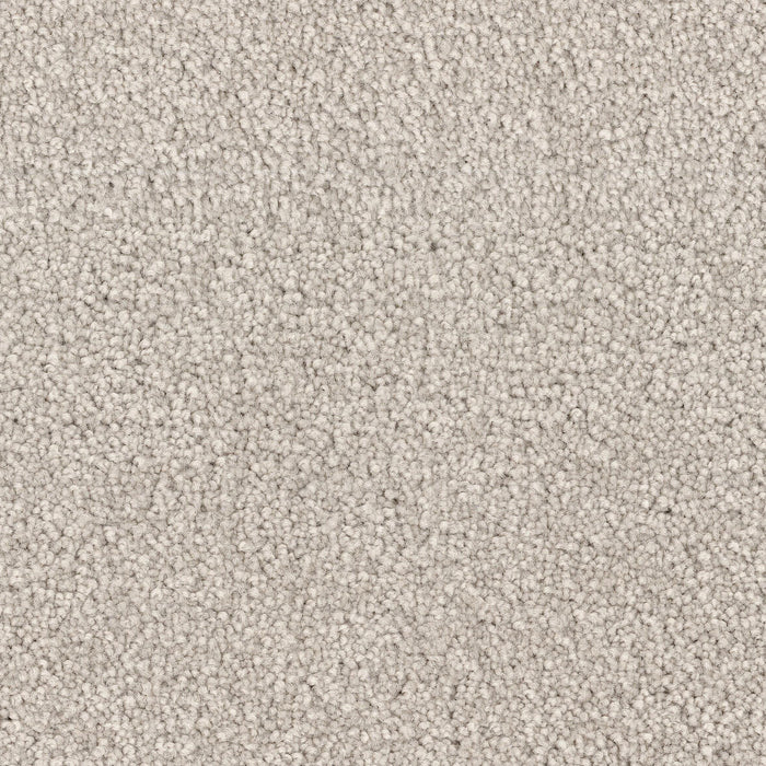 Spring Break - Sand Dollar