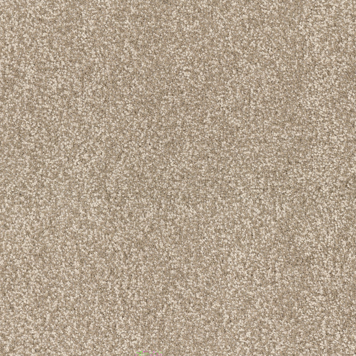 Spring Fling - Bungalow