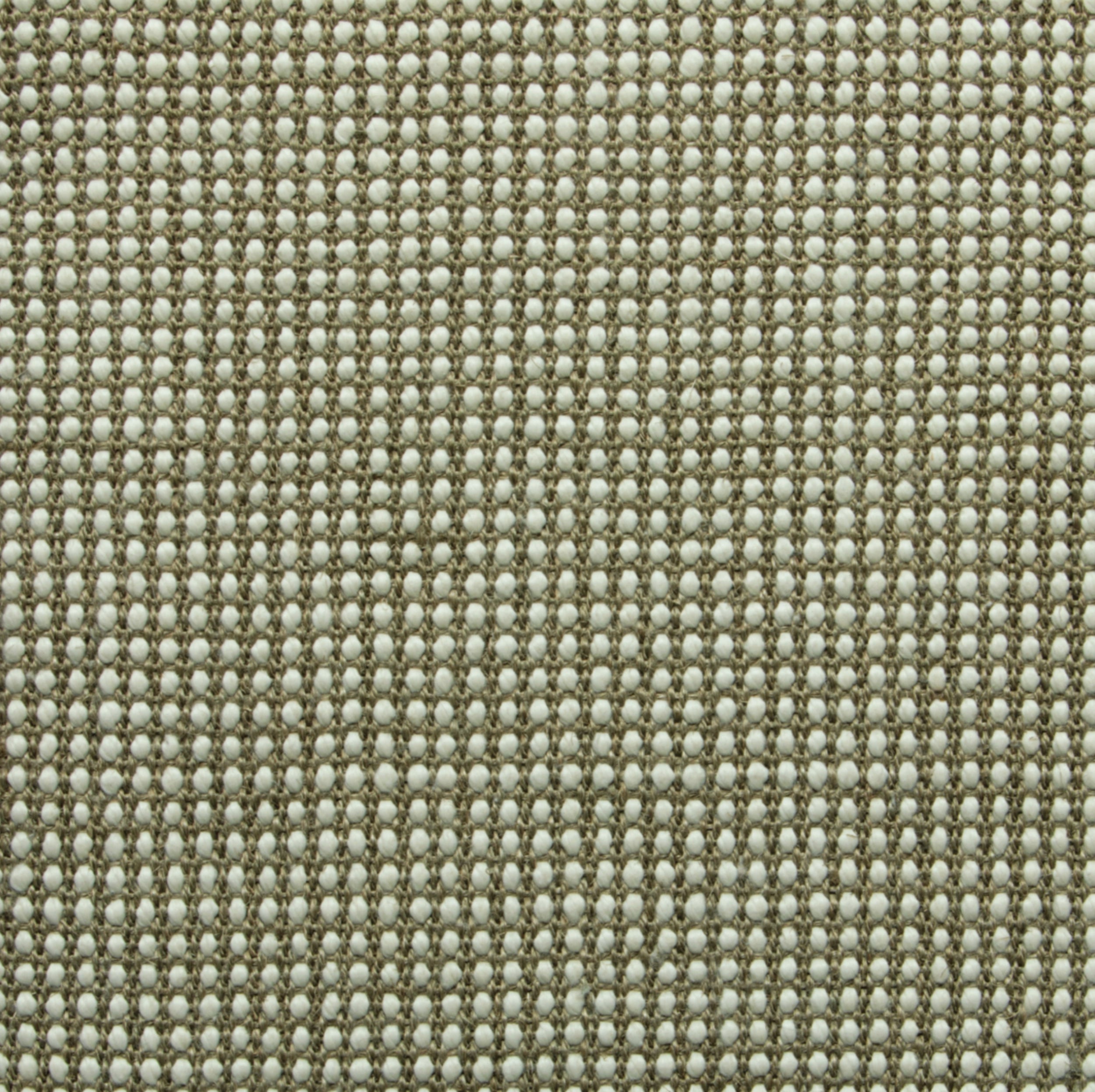 Aurora / Olive, Stone, Eggshell, Tan