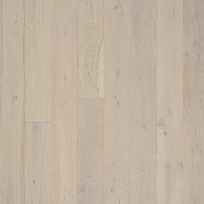 Elated Oak PremierLux - 9.5 in. x 86 in. by Tesoro