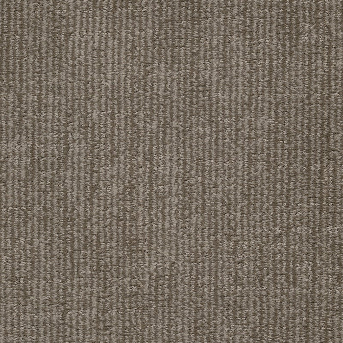 Bengal - Felicette