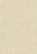 Winter Park Collection - Ivory