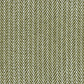 Skidaway Island Collection - Fern
