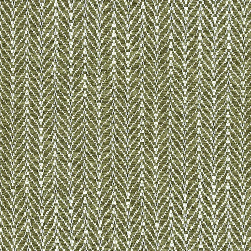 Skidaway Island Collection - Fern