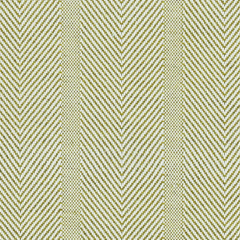 Altamaha Collection - Lime