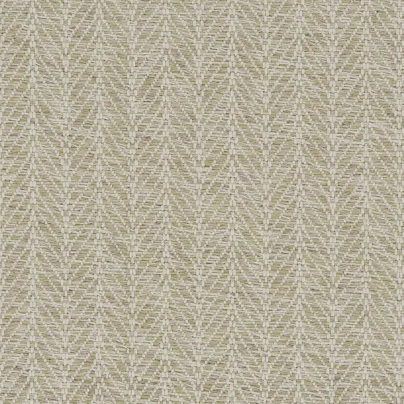 Caneel Bay Collection - Moss