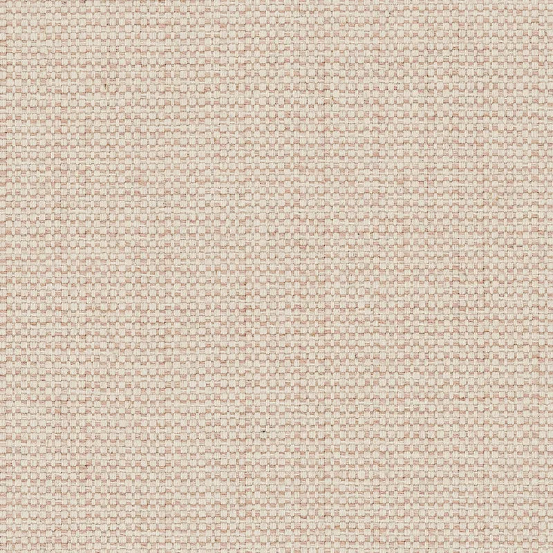 B-Line Collection - Blush