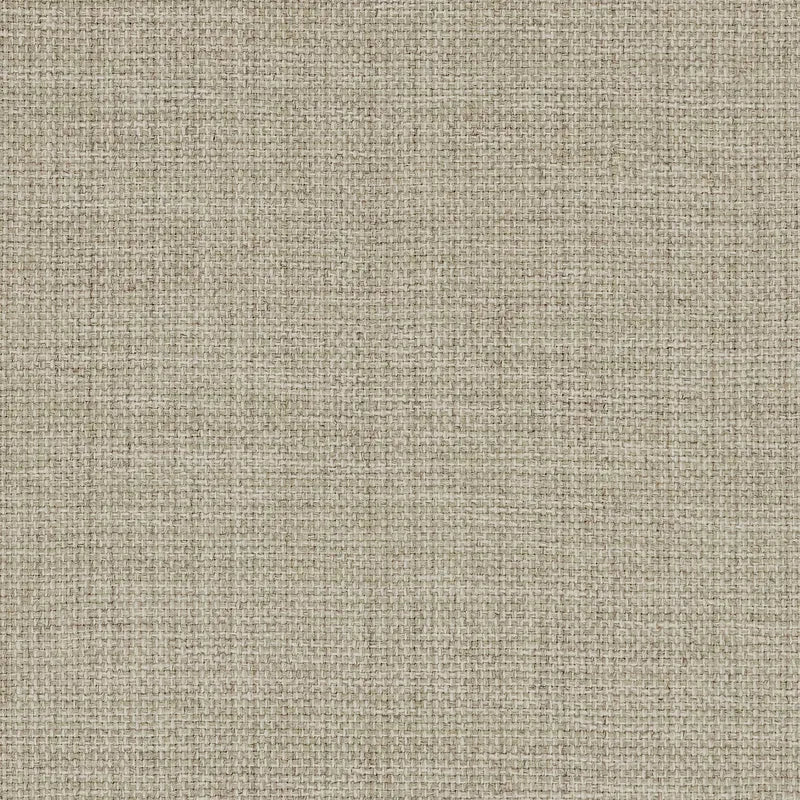 Foxy Collection - Moss