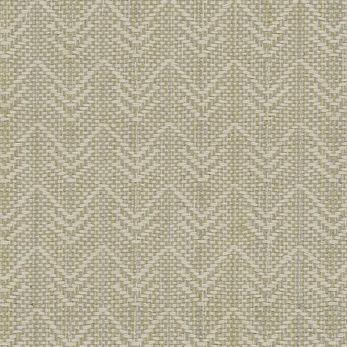 Avalon Collection - Moss