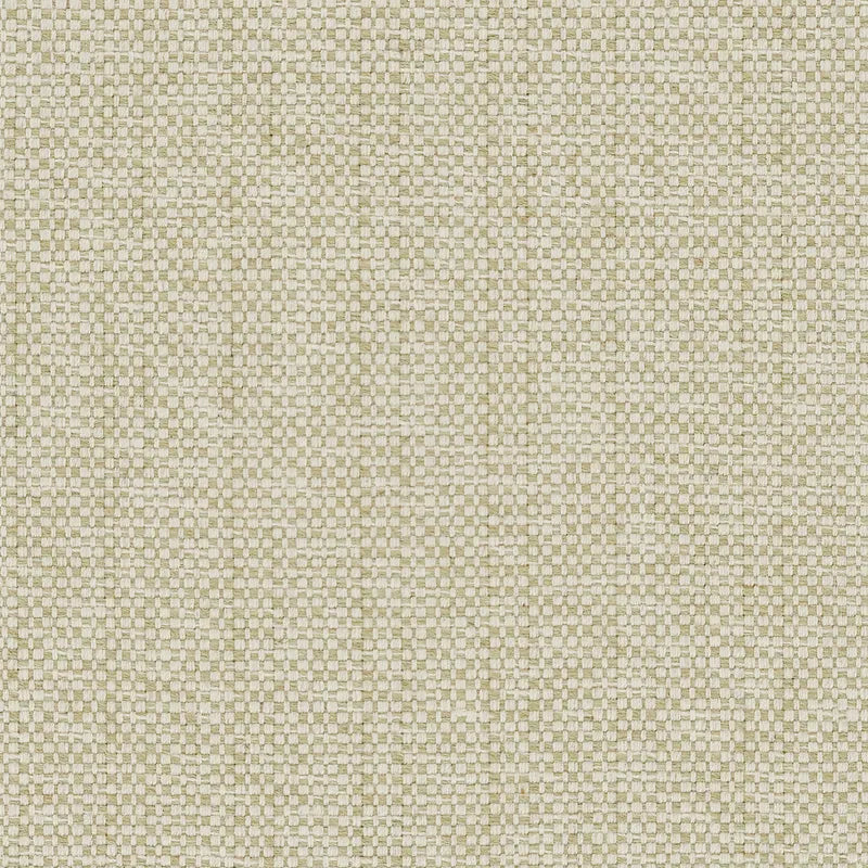 B-Line Collection - Moss
