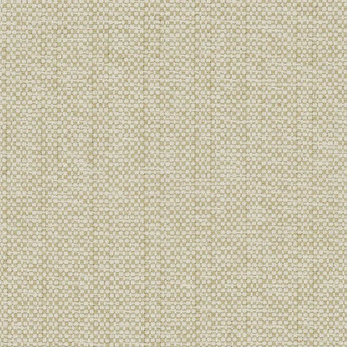 B-Line Collection - Moss
