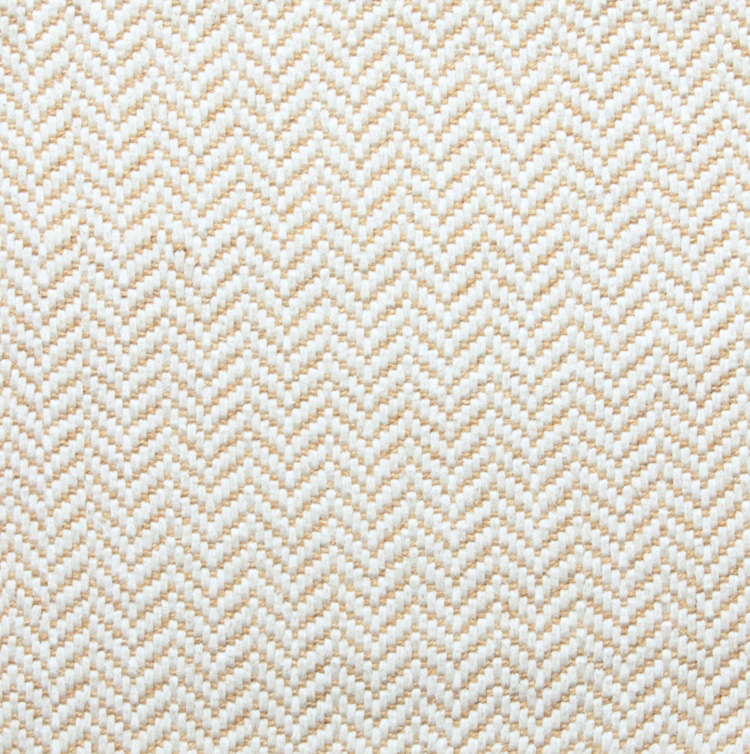 Linnet / Eggshell, Tan, Pigeon
