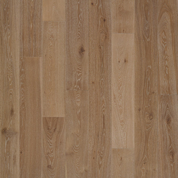 Splendid Oak PremierLux - 9.5 in. x 86 in. by Tesoro