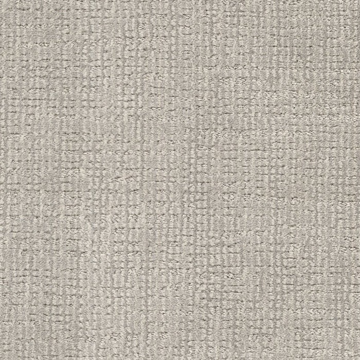 Bengal - Tommaso